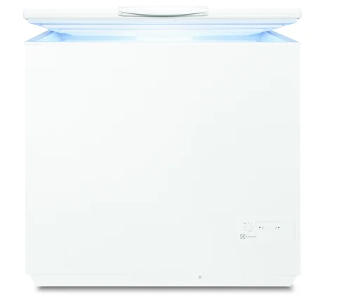 Electrolux EC2830AOW2