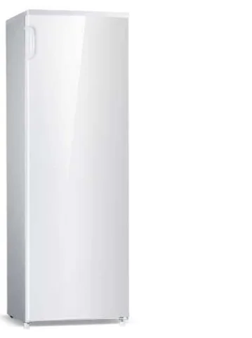 Hisense FV221D4BW1